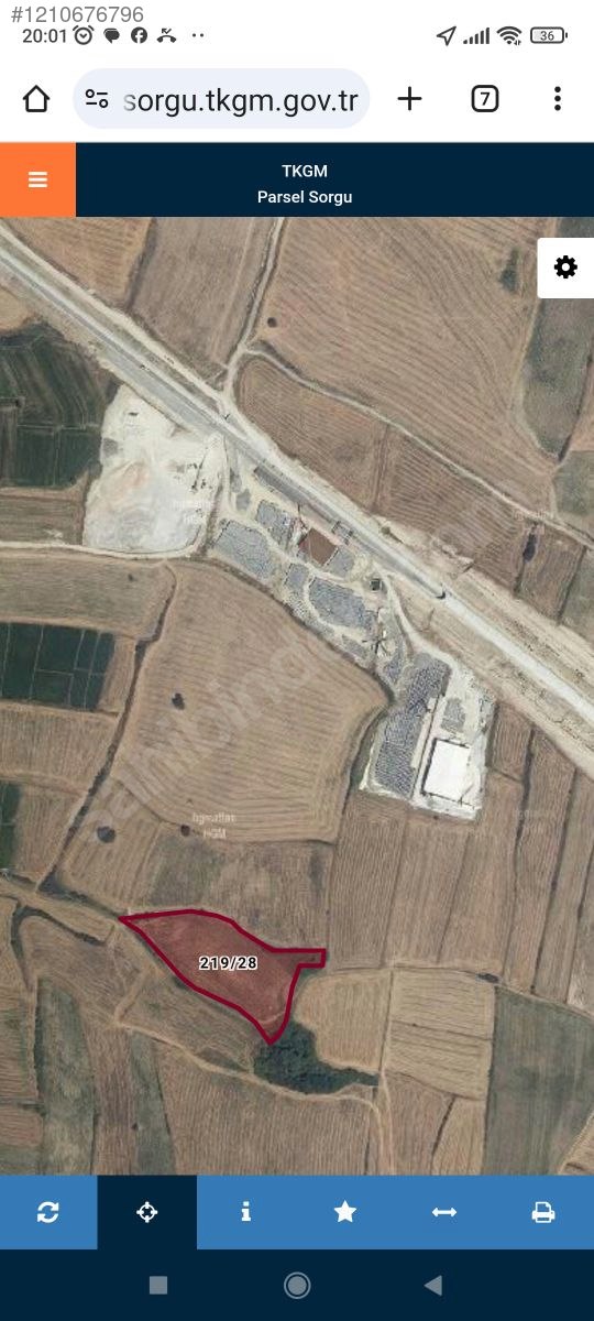 Fotoğraf